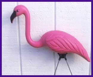 the flamingo has very skinny legs